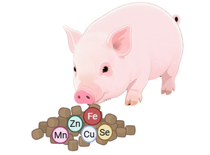 Trace Elements in Animal Production