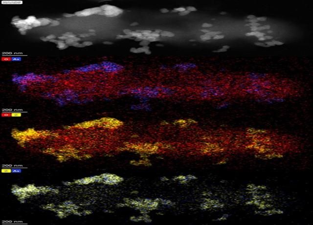 Critical Metal Bioprocessing