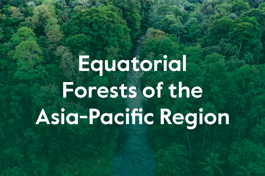 Equatorial Forests of the Asia-Pacific Region