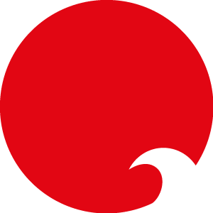 Image of National Association of Environmental Professionals logo red on transparent