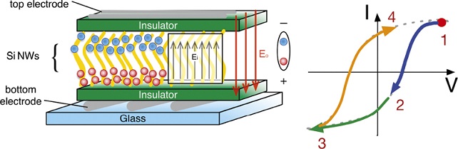 Growth of low-temperature Si nanowires suitable for electronic memory devices