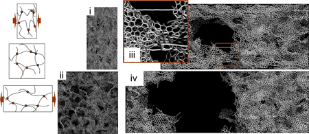 YuHoa image graphene assembly