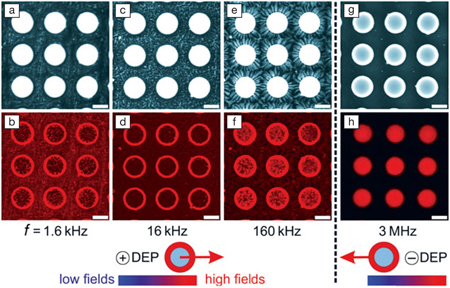 3d-self-assembly