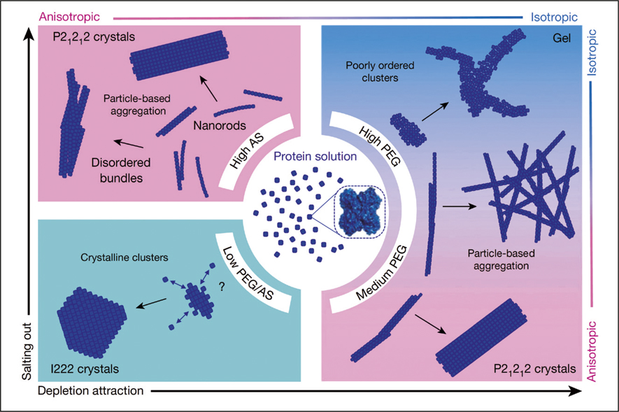 Cryo-transmission electron microscopy