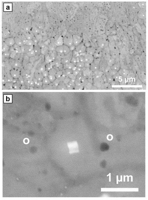 a-b-selective-laser-melting