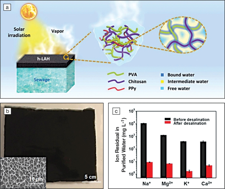 Hydratable polymer networks