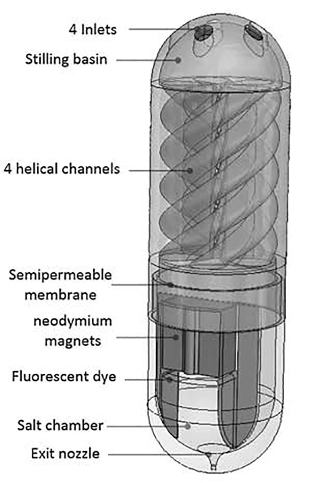 Ingestible Pill_642