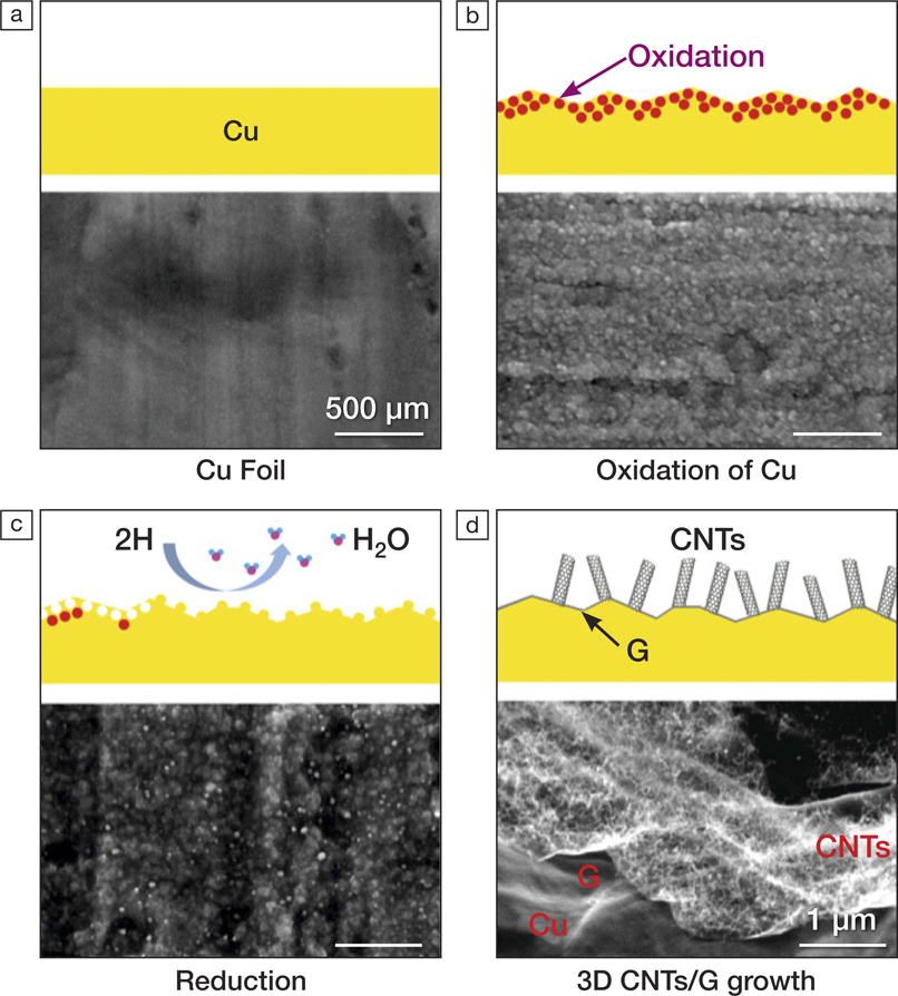 3D CNT and graphene