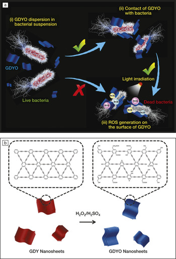 2D carbon-network