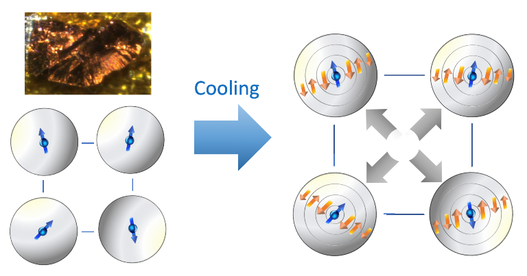 NTE mechanism