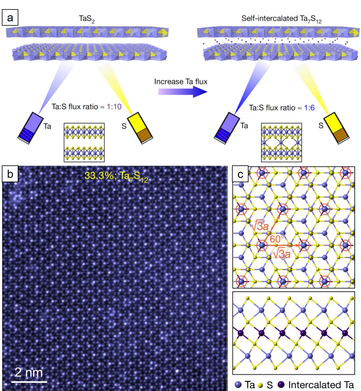 Library_2D-materials