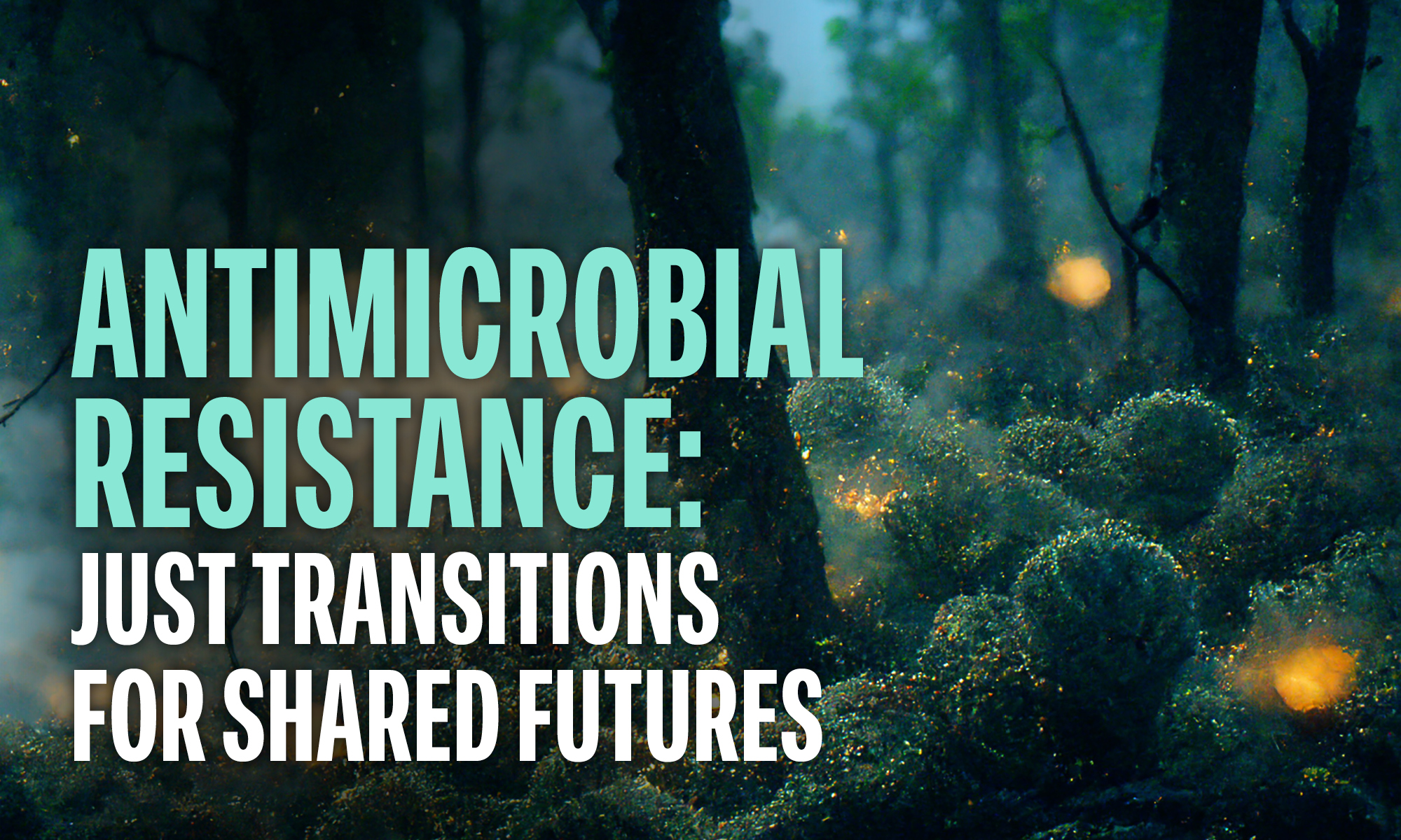 Antimicrobial Resistance: Just transitions for shared futures