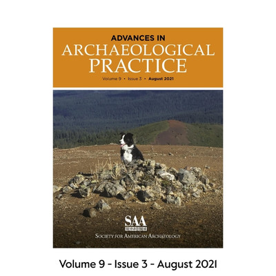 The Volume 9 - Issue 3 - August 2021 cover of AAP