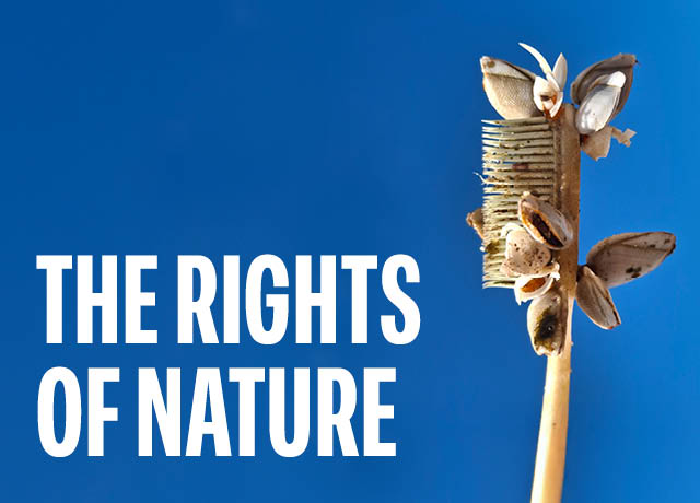 The Rights of Nature