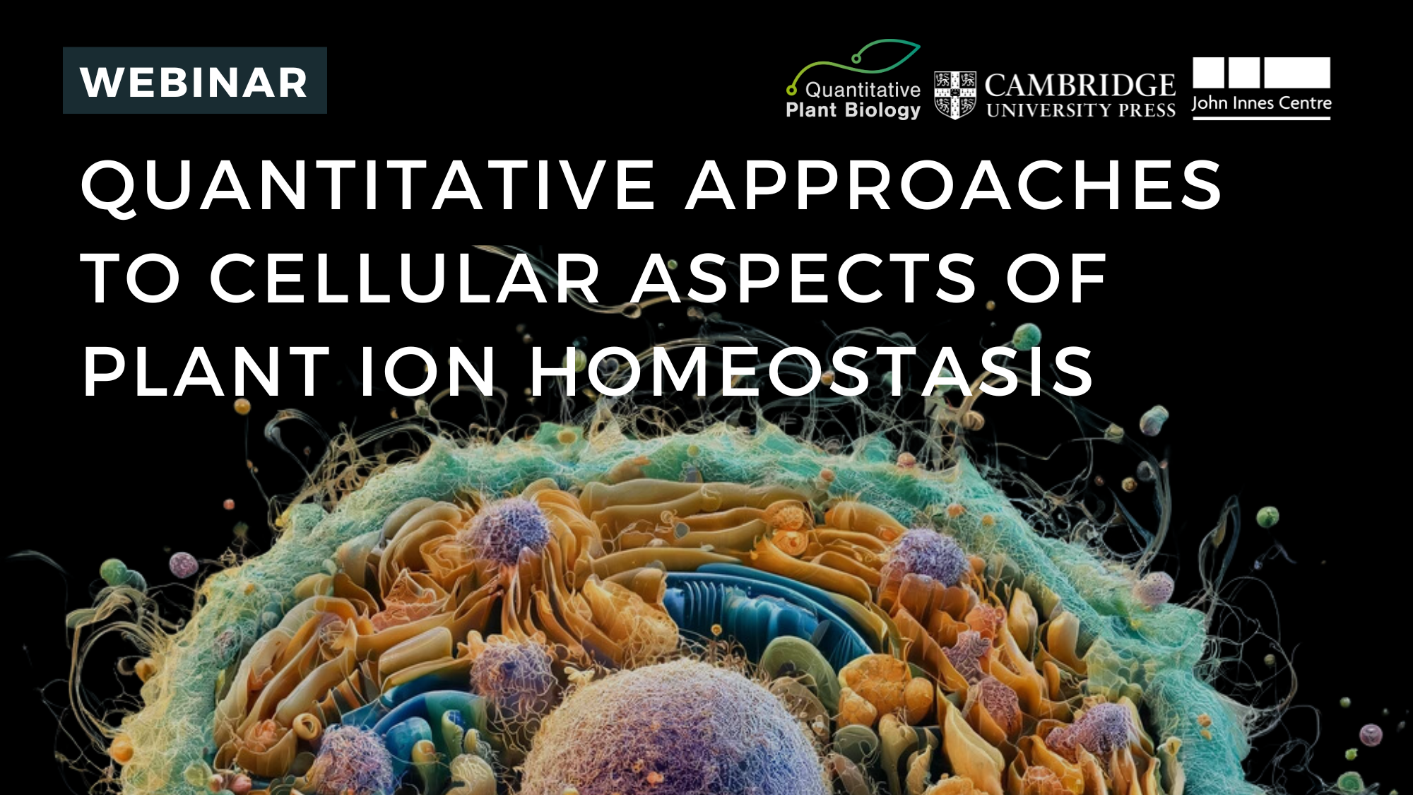 Quantitative Approaches to Cellular Aspects of Plant Ion Homeostasis