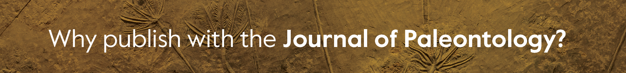 Why publish