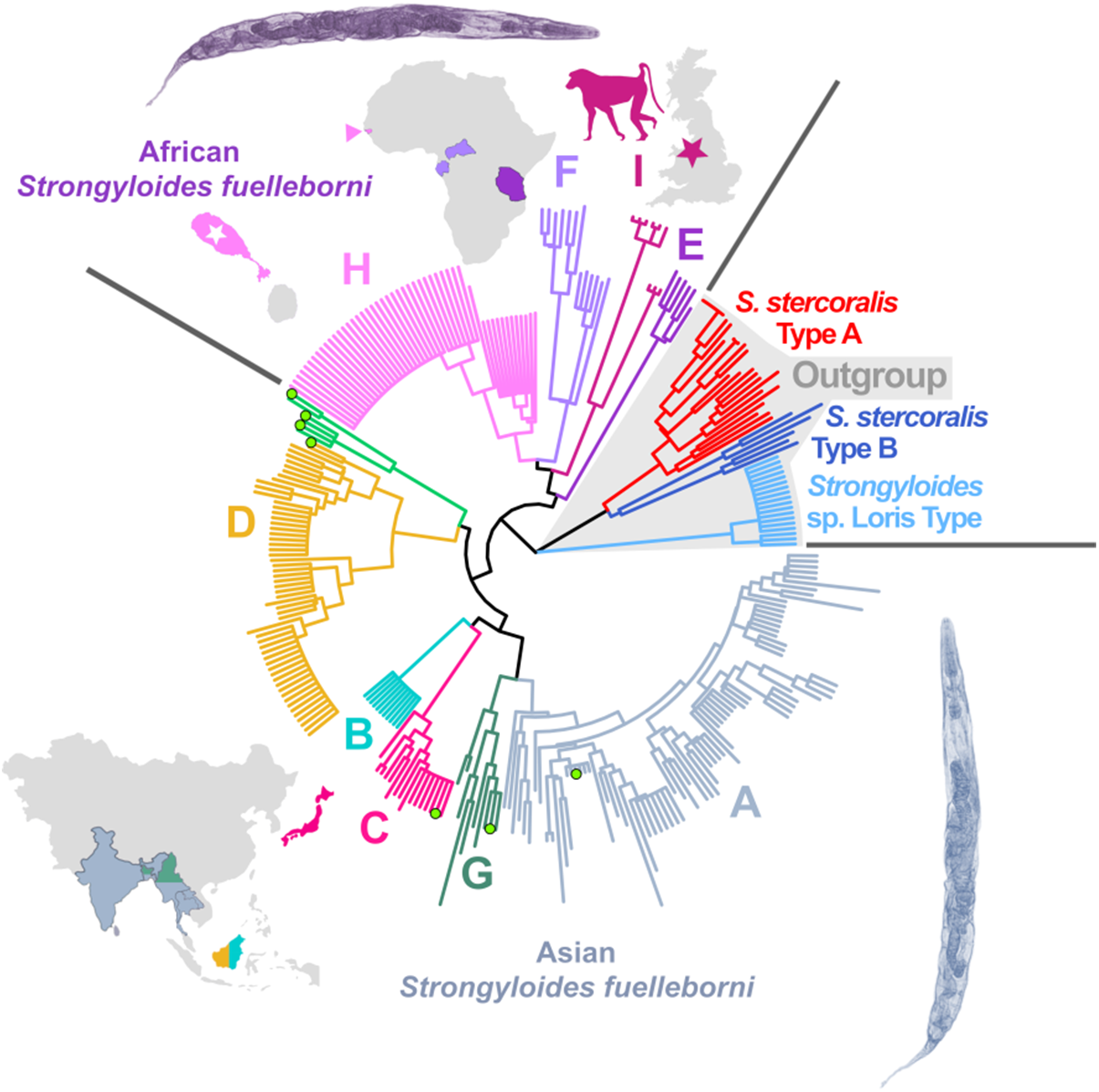 J Barratt Sept25 Graphical Abstract Comp