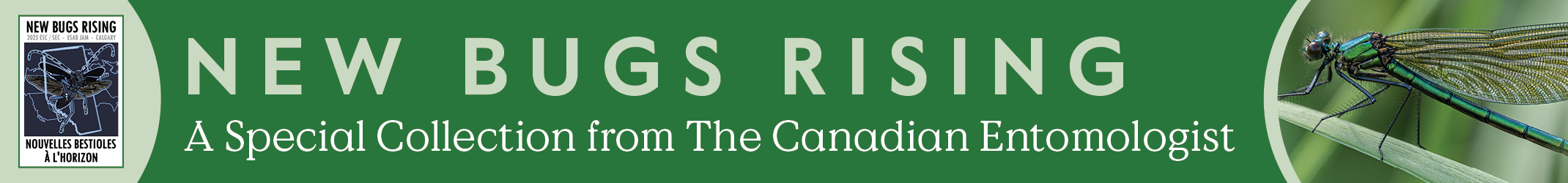 New Bugs Rising – A Special Collection