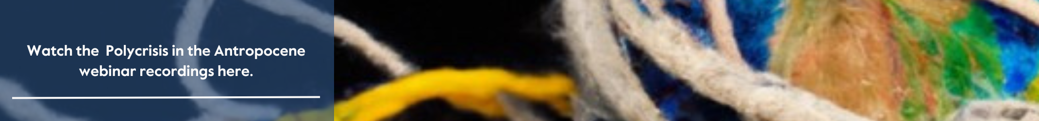 Polycrisis webinar recording banner