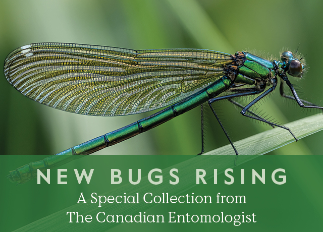 New Bugs Rising – TCE Special Collection