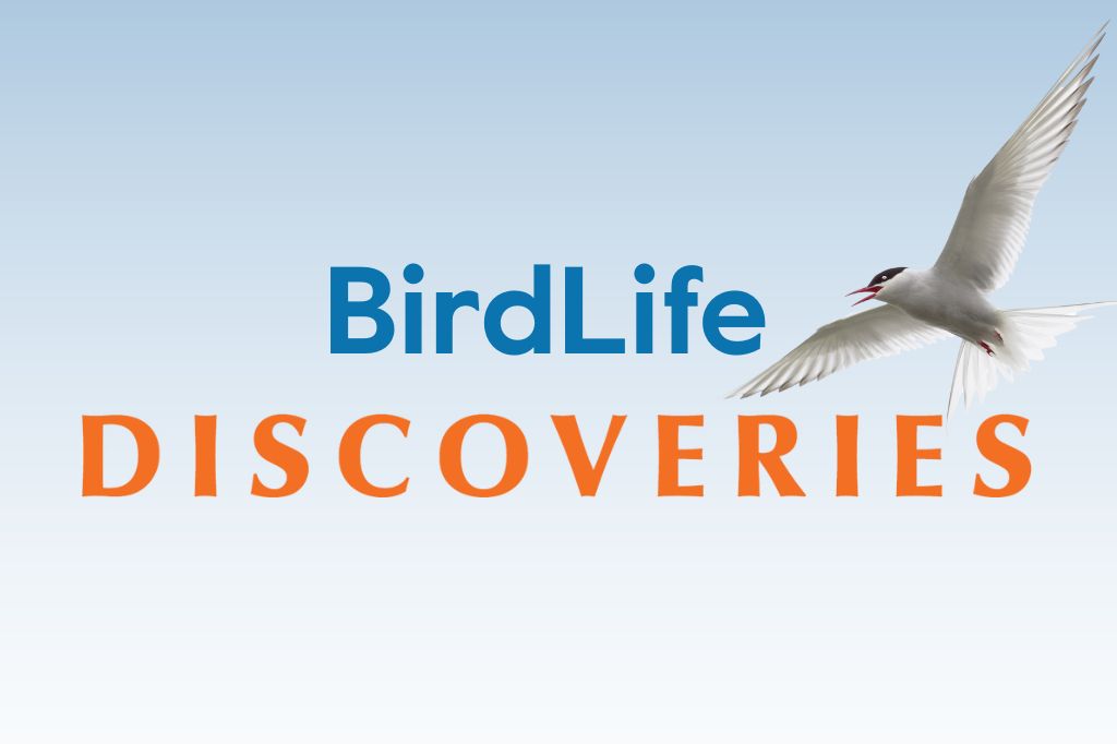 BirdLife Discoveries